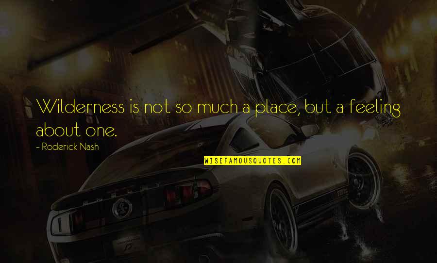 Sheinberg Jonathan Quotes By Roderick Nash: Wilderness is not so much a place, but Sheinberg Jonathan Quotes By Roderick Nash: Wilderness is not so much a place, but