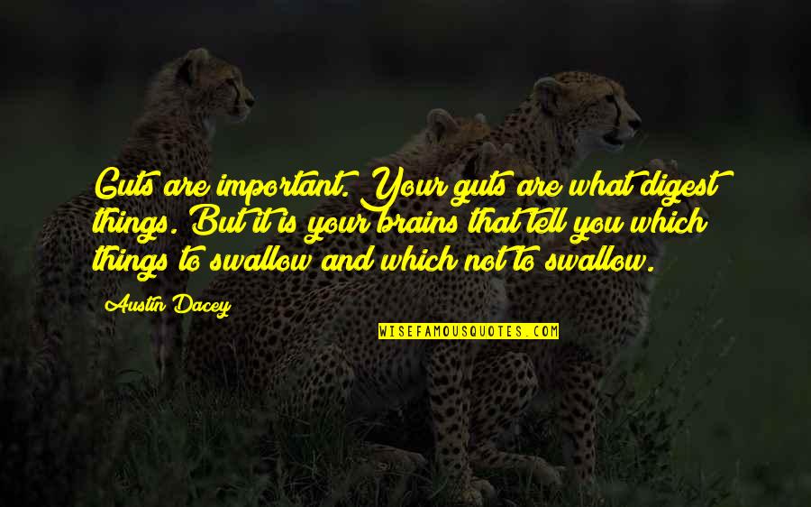Sheldon Cooper Memaw Quotes By Austin Dacey: Guts are important. Your guts are what digest Sheldon Cooper Memaw Quotes By Austin Dacey: Guts are important. Your guts are what digest
