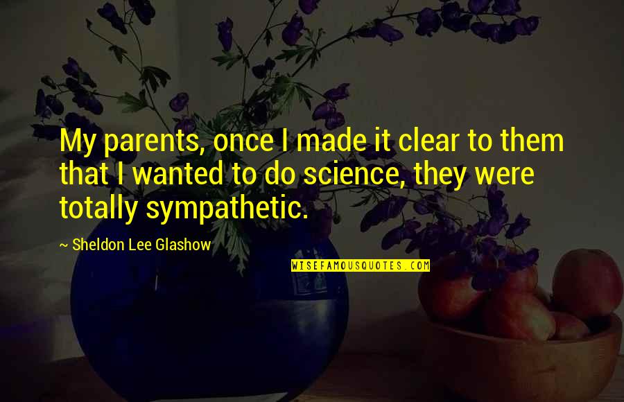 Sheldon Glashow Quotes By Sheldon Lee Glashow: My parents, once I made it clear to