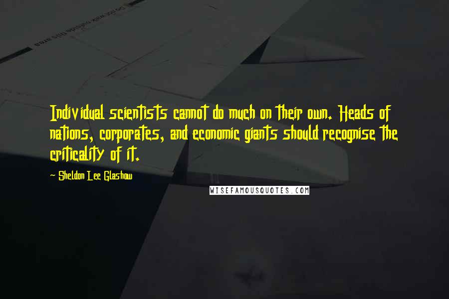 Sheldon Lee Glashow quotes: Individual scientists cannot do much on their own. Heads of nations, corporates, and economic giants should recognise the criticality of it.