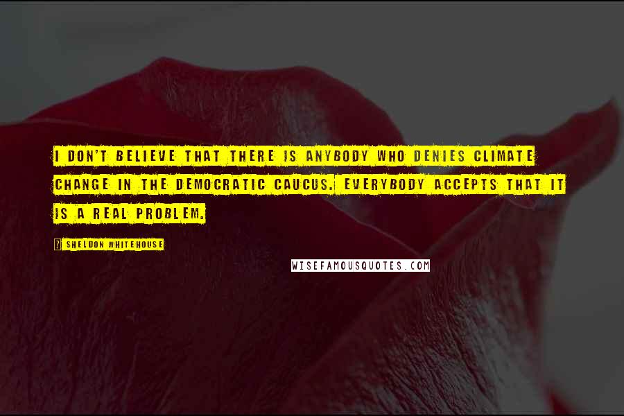 Sheldon Whitehouse quotes: I don't believe that there is anybody who denies climate change in the Democratic caucus. Everybody accepts that it is a real problem.