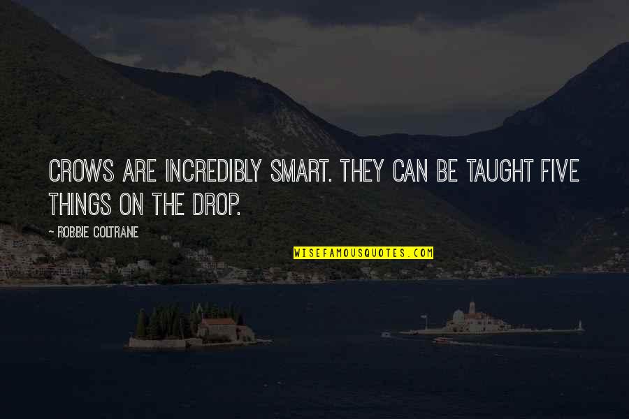 Sheler Haghanifar Quotes By Robbie Coltrane: Crows are incredibly smart. They can be taught