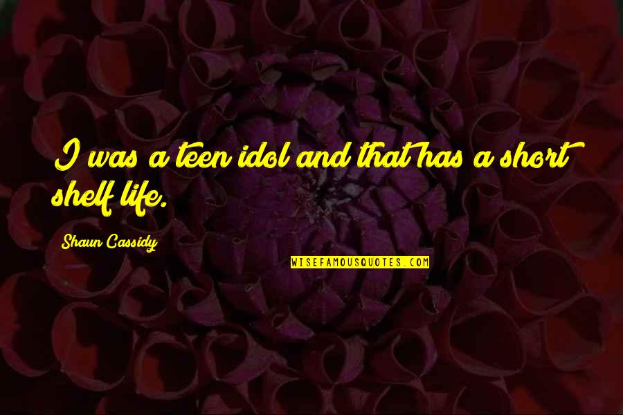 Shelf Life Quotes By Shaun Cassidy: I was a teen idol and that has