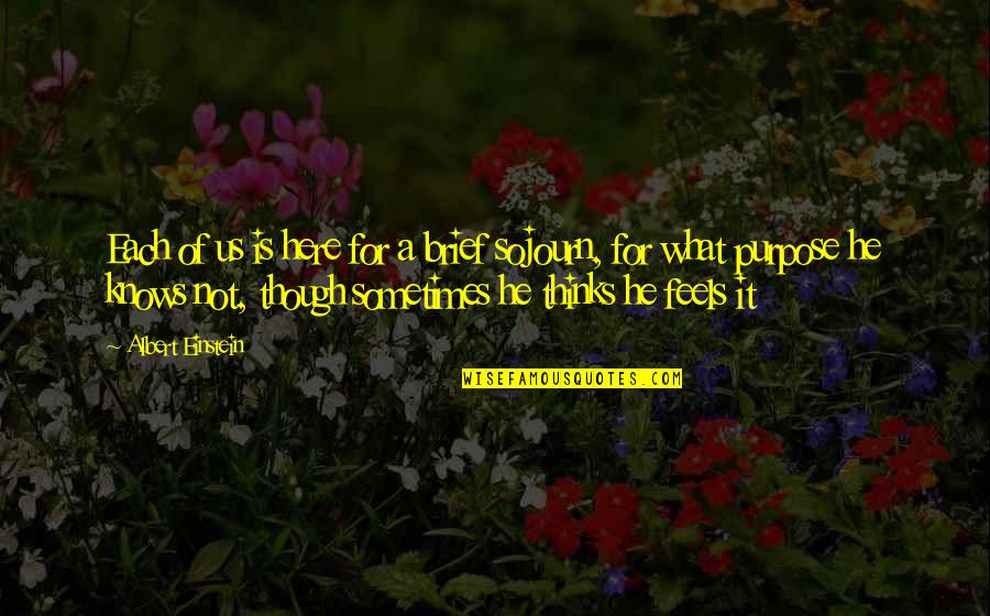 Shellah Smith Quotes By Albert Einstein: Each of us is here for a brief Shellah Smith Quotes By Albert Einstein: Each of us is here for a brief