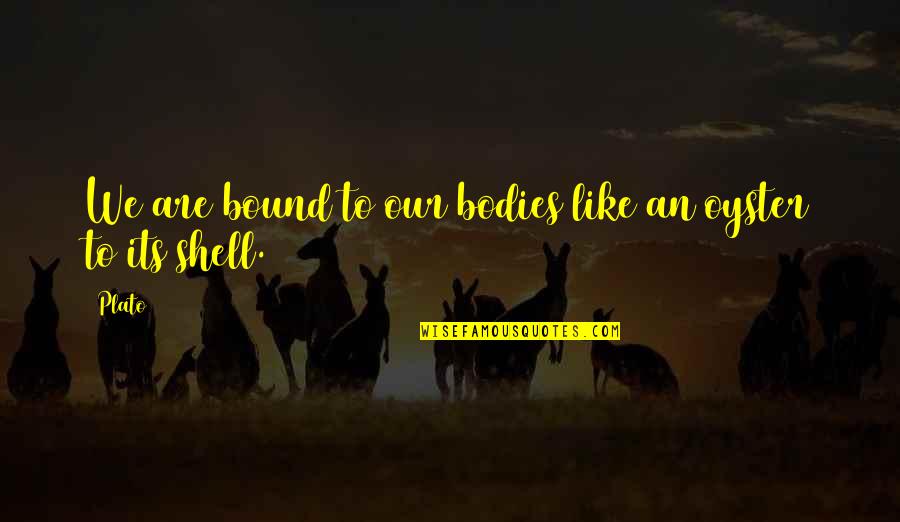 Shells Quotes By Plato: We are bound to our bodies like an