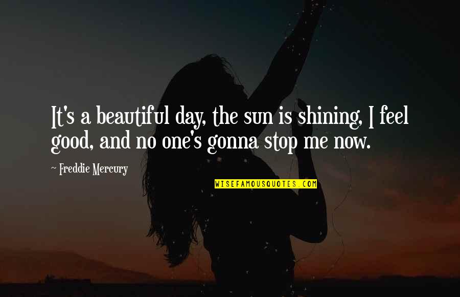 Shelly Johnson Quotes By Freddie Mercury: It's a beautiful day, the sun is shining,