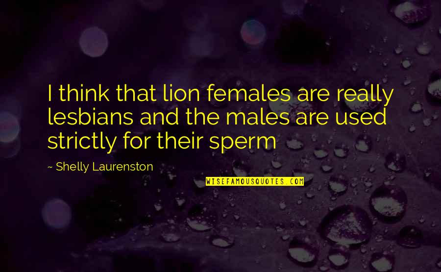 Shelly Quotes By Shelly Laurenston: I think that lion females are really lesbians Shelly Quotes By Shelly Laurenston: I think that lion females are really lesbians