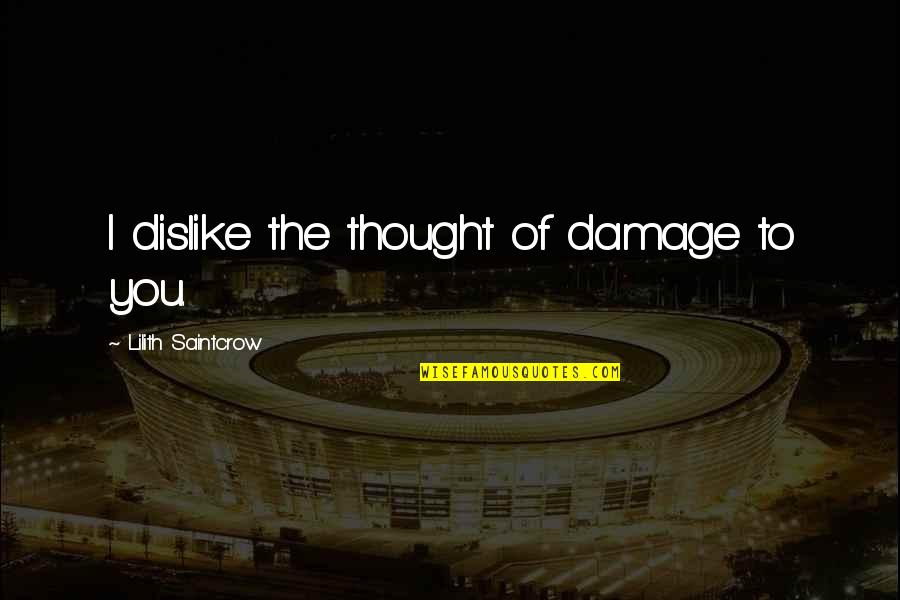 Shelmark Quotes By Lilith Saintcrow: I dislike the thought of damage to you. Shelmark Quotes By Lilith Saintcrow: I dislike the thought of damage to you.