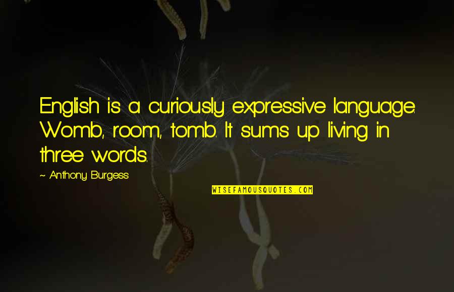 Shelter 2007 Quotes By Anthony Burgess: English is a curiously expressive language. Womb, room, Shelter 2007 Quotes By Anthony Burgess: English is a curiously expressive language. Womb, room,