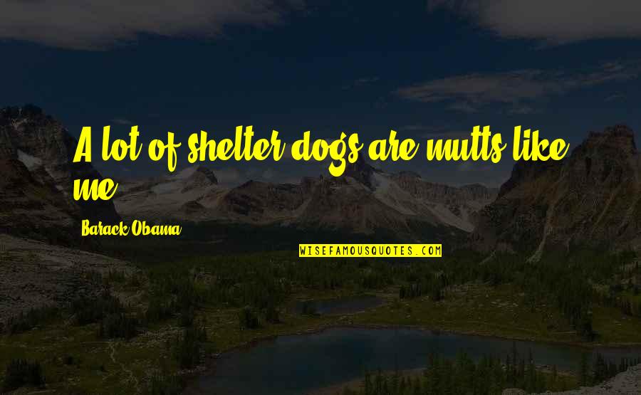 Shelter'd Quotes By Barack Obama: A lot of shelter dogs are mutts like