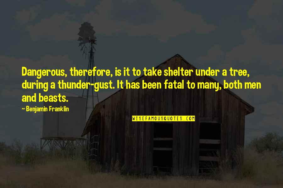 Shelter'd Quotes By Benjamin Franklin: Dangerous, therefore, is it to take shelter under
