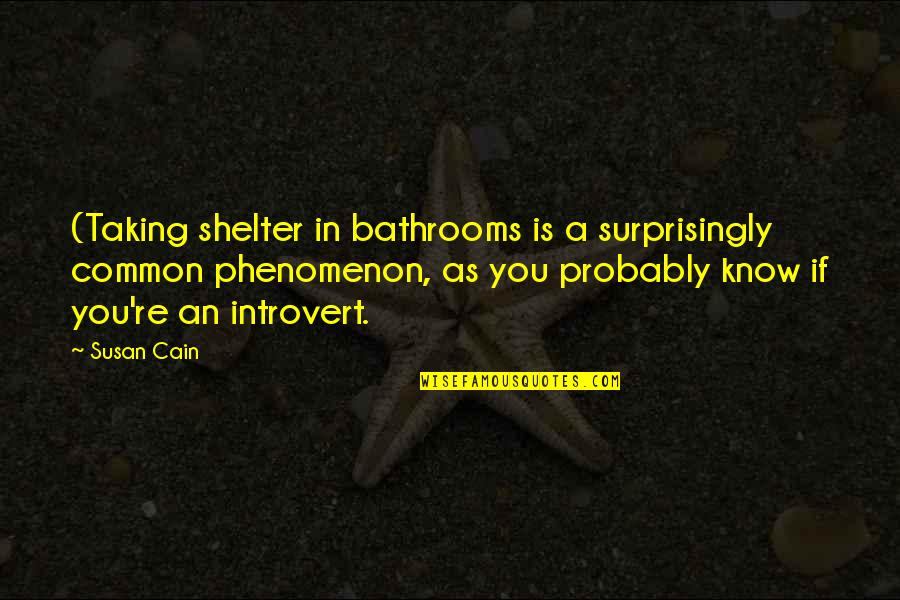 Shelter'd Quotes By Susan Cain: (Taking shelter in bathrooms is a surprisingly common