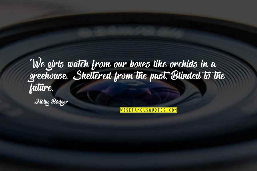 Sheltered Quotes By Holly Bodger: We girls watch from our boxes like orchids