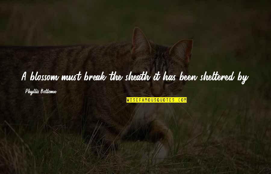 Sheltered Quotes By Phyllis Bottome: A blossom must break the sheath it has