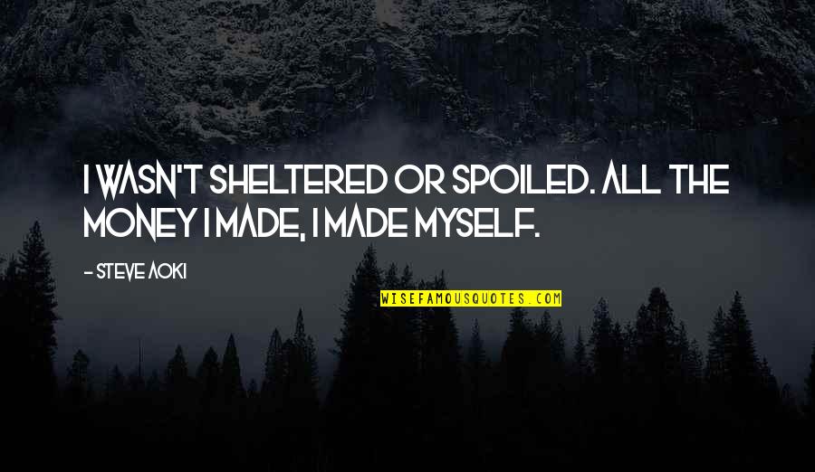 Sheltered Quotes By Steve Aoki: I wasn't sheltered or spoiled. All the money