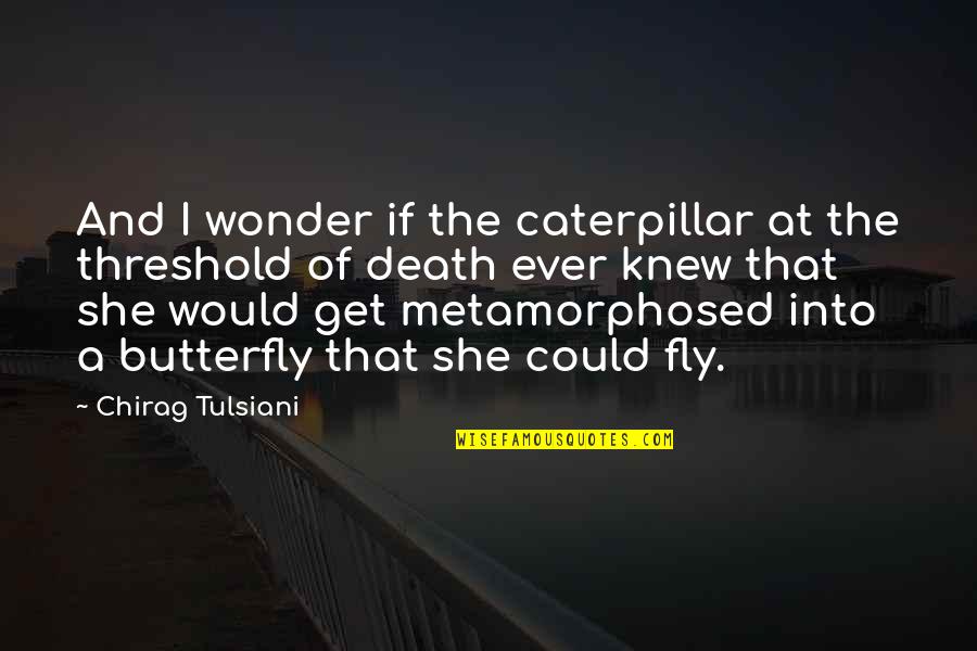 Shengsheng He Quotes By Chirag Tulsiani: And I wonder if the caterpillar at the