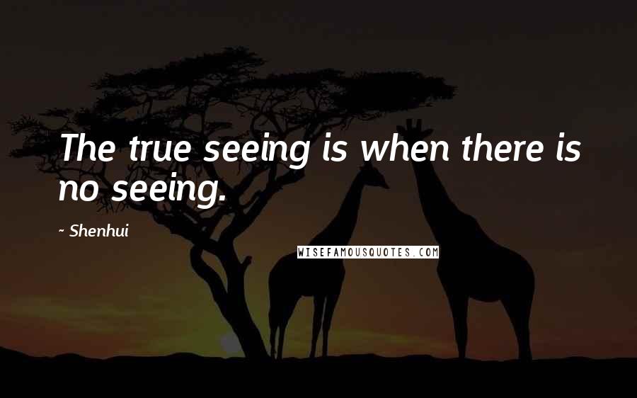 Shenhui quotes: The true seeing is when there is no seeing.