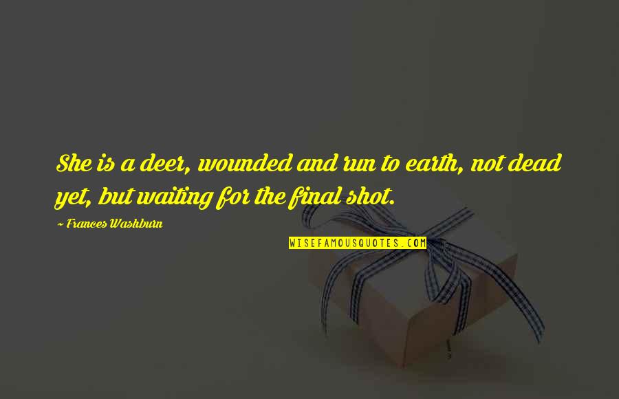 Shenhuibi Quotes By Frances Washburn: She is a deer, wounded and run to Shenhuibi Quotes By Frances Washburn: She is a deer, wounded and run to