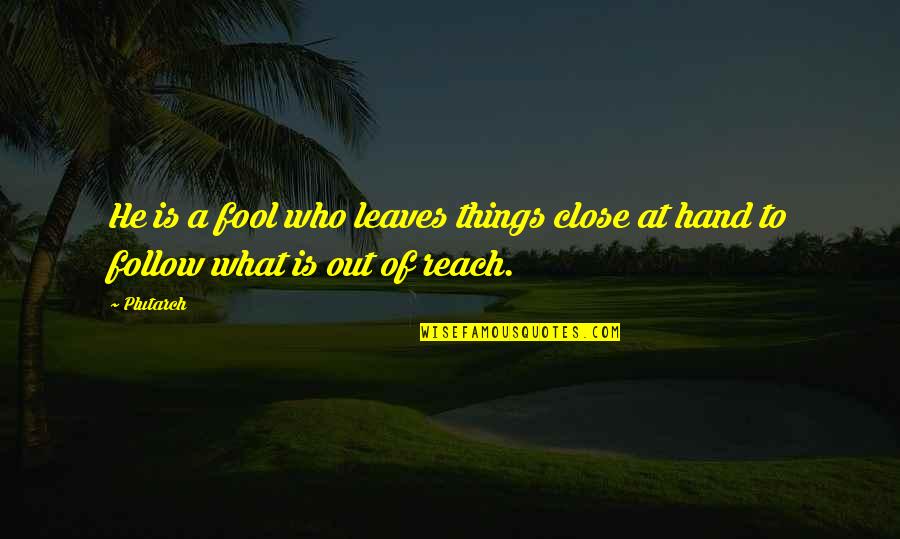 Shenia Fundora Quotes By Plutarch: He is a fool who leaves things close