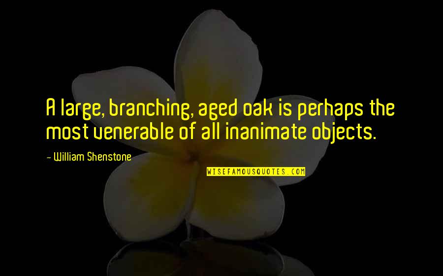 Shenstone Quotes By William Shenstone: A large, branching, aged oak is perhaps the