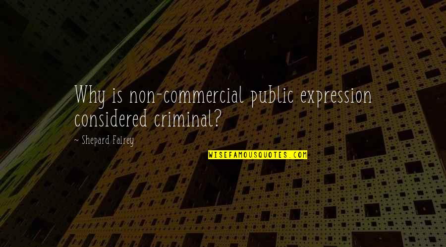 Shepard Fairey Quotes By Shepard Fairey: Why is non-commercial public expression considered criminal?