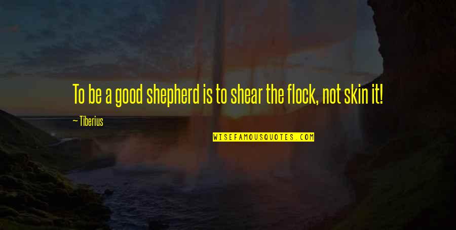 Shepherd Flock Quotes By Tiberius: To be a good shepherd is to shear