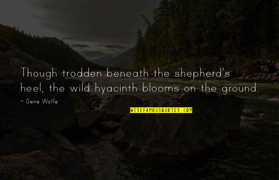 Shepherd Quotes By Gene Wolfe: Though trodden beneath the shepherd's heel, the wild