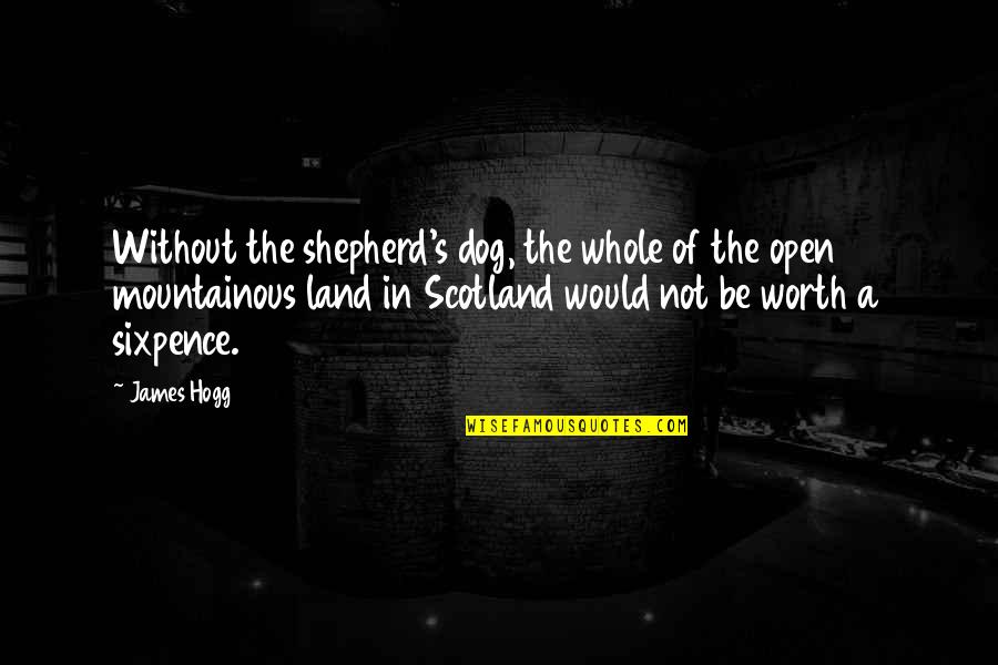 Shepherd Quotes By James Hogg: Without the shepherd's dog, the whole of the