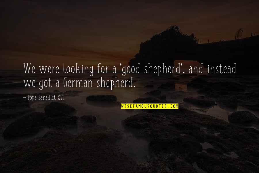 Shepherd Quotes By Pope Benedict XVI: We were looking for a 'good shepherd', and