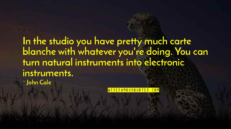 Shep's Quotes By John Cale: In the studio you have pretty much carte Shep's Quotes By John Cale: In the studio you have pretty much carte