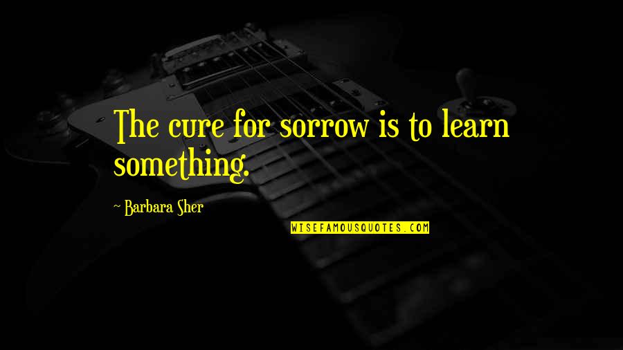 Sher Quotes By Barbara Sher: The cure for sorrow is to learn something.