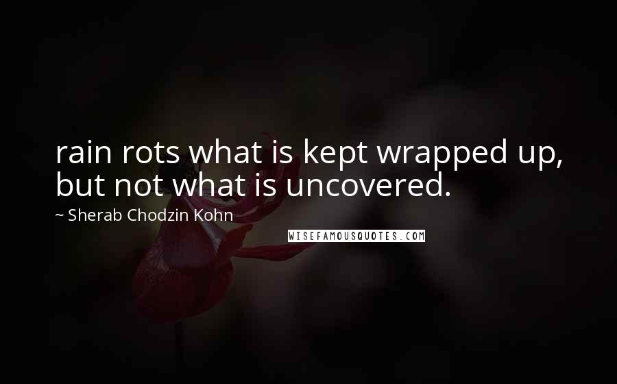Sherab Chodzin Kohn quotes: rain rots what is kept wrapped up, but not what is uncovered.