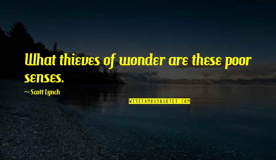 Sherah Sherwood Quotes By Scott Lynch: What thieves of wonder are these poor senses.