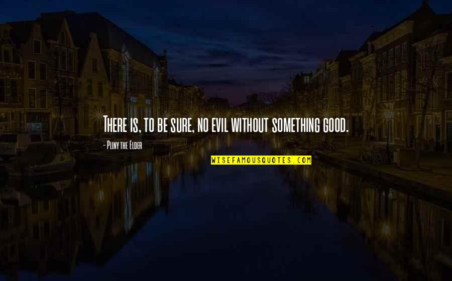 Sheralyn Flynn Quotes By Pliny The Elder: There is, to be sure, no evil without Sheralyn Flynn Quotes By Pliny The Elder: There is, to be sure, no evil without