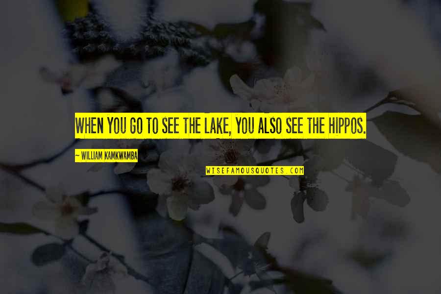 Shereen Pimentel Quotes By William Kamkwamba: When you go to see the lake, you Shereen Pimentel Quotes By William Kamkwamba: When you go to see the lake, you