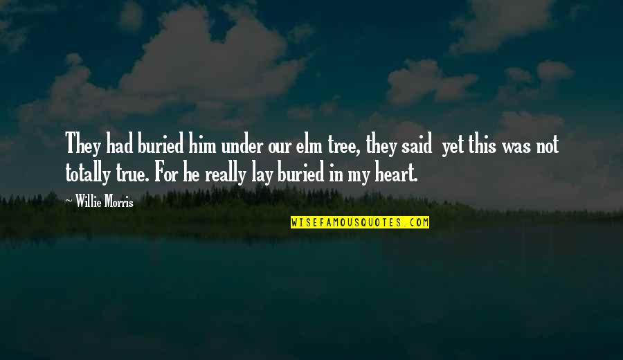 Sherezade Panthaki Quotes By Willie Morris: They had buried him under our elm tree, Sherezade Panthaki Quotes By Willie Morris: They had buried him under our elm tree,