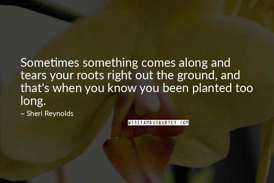 Sheri Reynolds quotes: Sometimes something comes along and tears your roots right out the ground, and that's when you know you been planted too long.