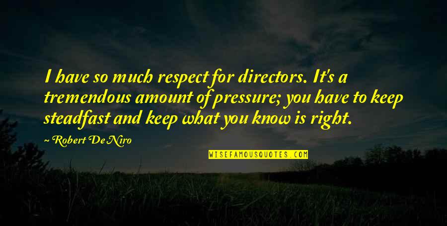 Sheria Ya Quotes By Robert De Niro: I have so much respect for directors. It's