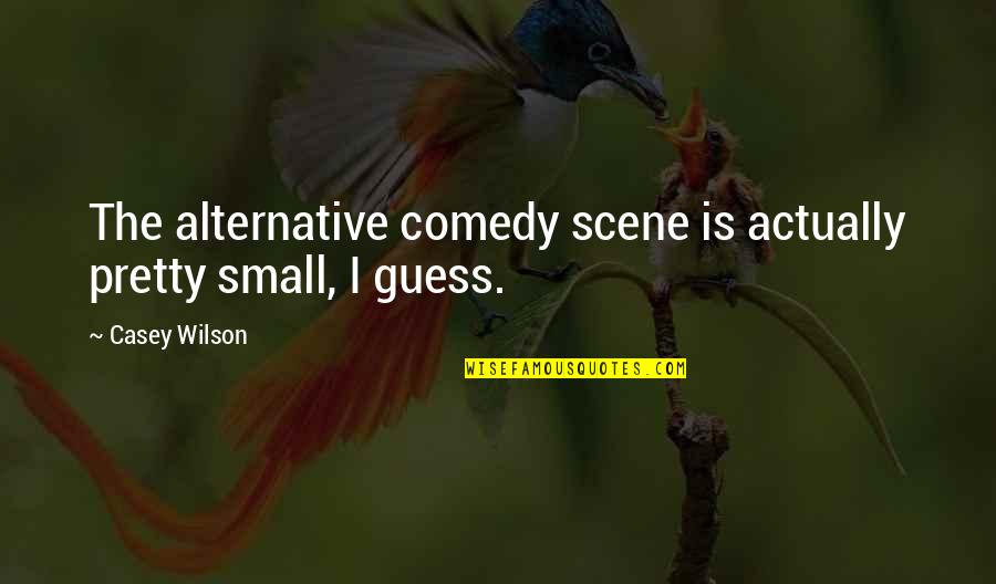 Sherice Bluford Quotes By Casey Wilson: The alternative comedy scene is actually pretty small,