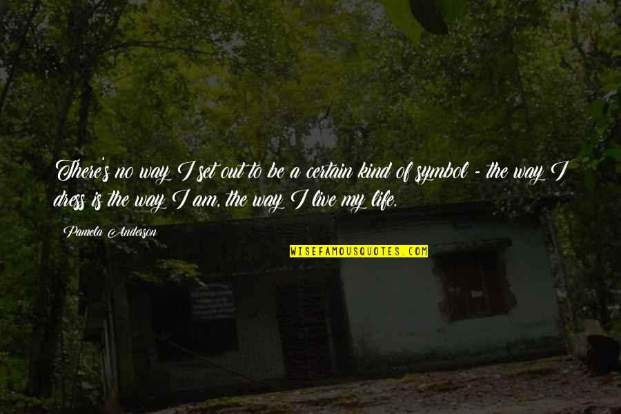 Sherick Memorial Home Quotes By Pamela Anderson: There's no way I set out to be Sherick Memorial Home Quotes By Pamela Anderson: There's no way I set out to be