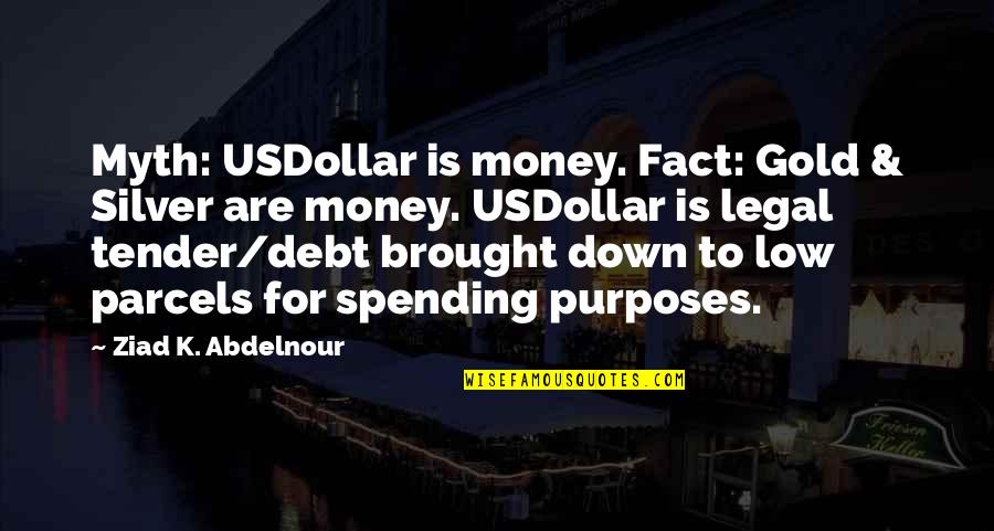 Shernell Clarke Quotes By Ziad K. Abdelnour: Myth: USDollar is money. Fact: Gold & Silver