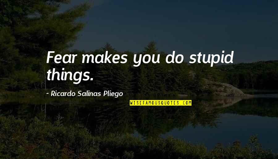 Sherpa Quotes By Ricardo Salinas Pliego: Fear makes you do stupid things. Sherpa Quotes By Ricardo Salinas Pliego: Fear makes you do stupid things.