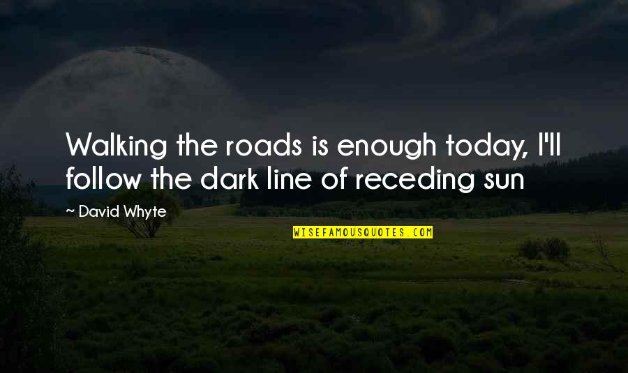 Sherri Bevan Quotes By David Whyte: Walking the roads is enough today, I'll follow