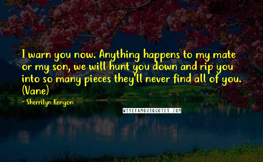 Sherrilyn Kenyon quotes: I warn you now. Anything happens to my mate or my son, we will hunt you down and rip you into so many pieces they'll never find all of you.