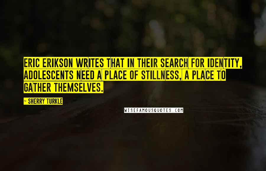 Sherry Turkle quotes: Eric Erikson writes that in their search for identity, adolescents need a place of stillness, a place to gather themselves.