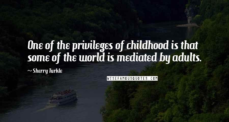 Sherry Turkle quotes: One of the privileges of childhood is that some of the world is mediated by adults.