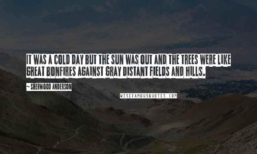 Sherwood Anderson quotes: It was a cold day but the sun was out and the trees were like great bonfires against gray distant fields and hills.