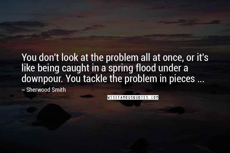 Sherwood Smith quotes: You don't look at the problem all at once, or it's like being caught in a spring flood under a downpour. You tackle the problem in pieces ...