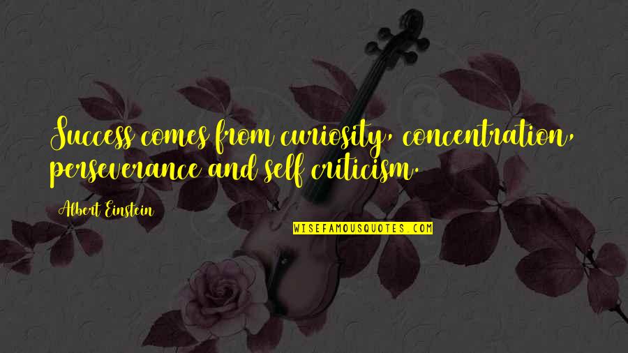 She's Been Hurt In The Past Quotes By Albert Einstein: Success comes from curiosity, concentration, perseverance and self