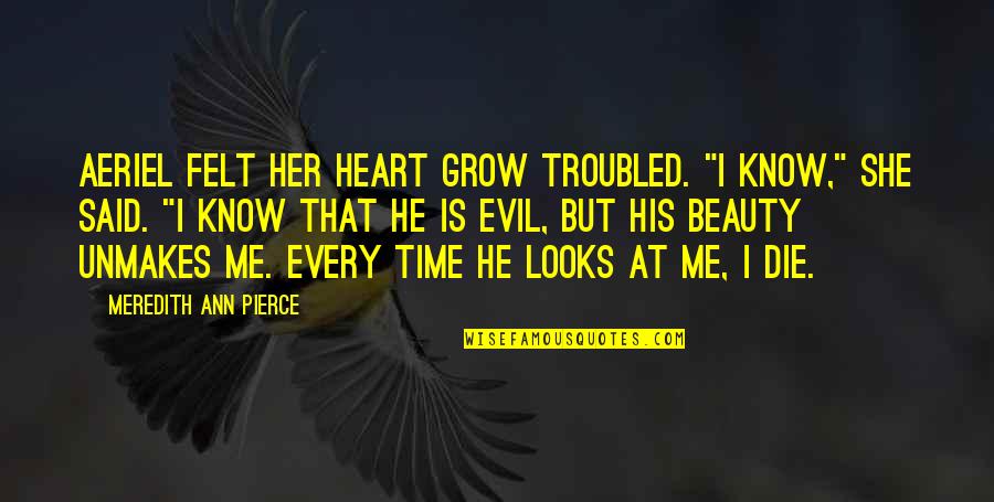 She's Evil Quotes By Meredith Ann Pierce: Aeriel felt her heart grow troubled. "I know,"